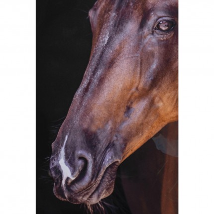 Tableau Frame cheval 78x108cm Kare Design
