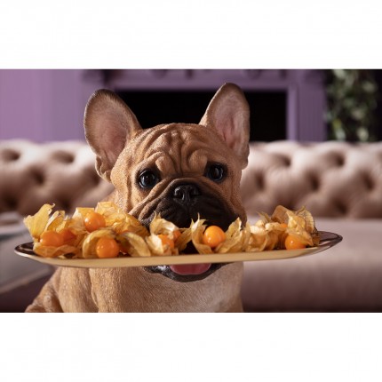 Déco bouledogue majordome Kare Design