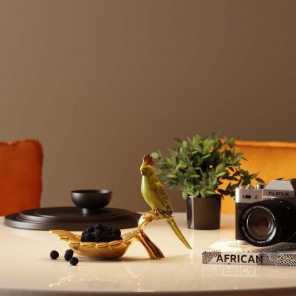 Deco Bowl Parrot Guard Kare Design