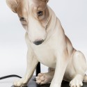 Lampe Chien Assis Kare Design