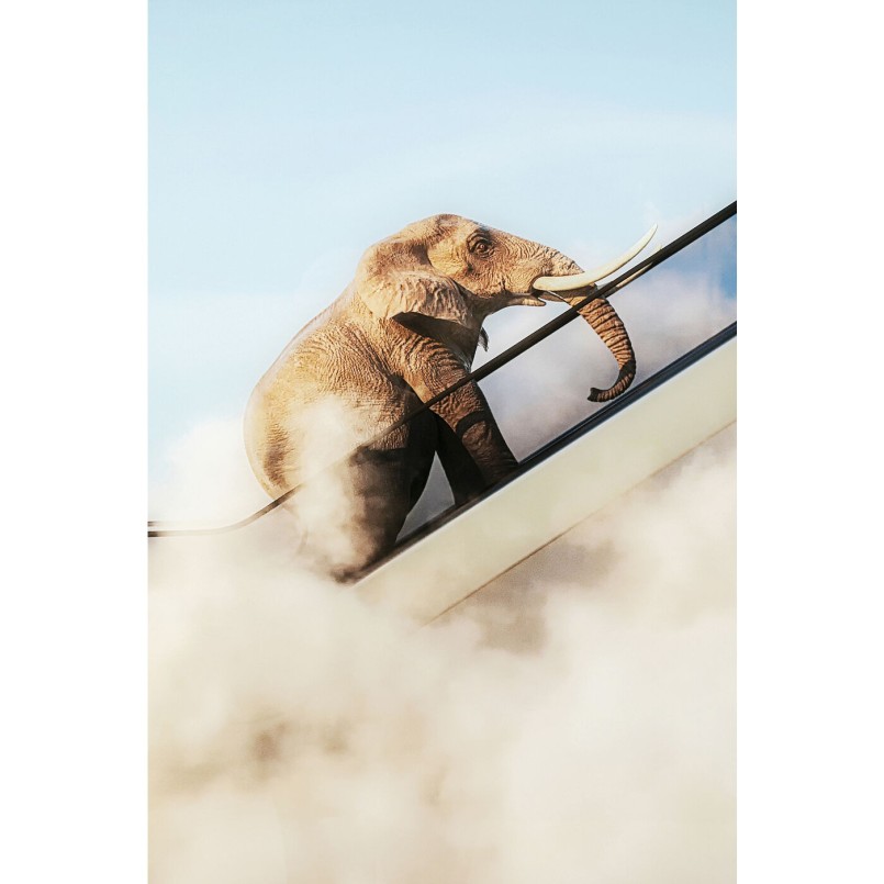 Affiche encadrée éléphant escalator 150x100cm Kare Design