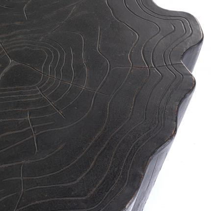 Table basse souche d'arbre noire 119x68cm Kare Design