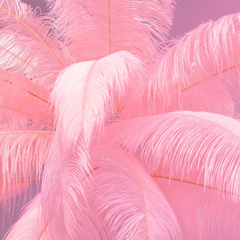 Pink feather floor lamp - Kare Design