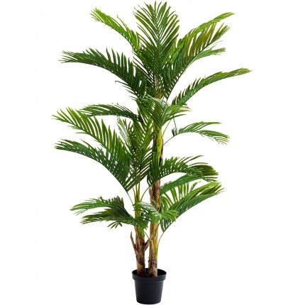 Plante décorative palmier 190cm Kare Design