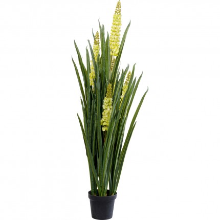 Plante décorative Rhynchostylis 150cm Kare Design