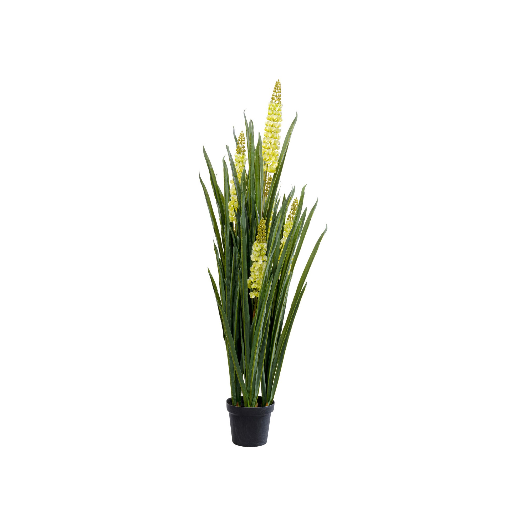 Plante décorative Rhynchostylis 150cm