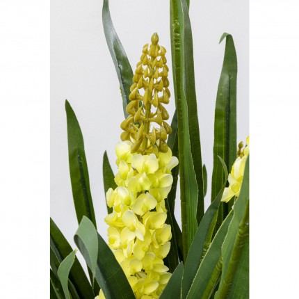 Plante décorative Rhynchostylis 150cm Kare Design