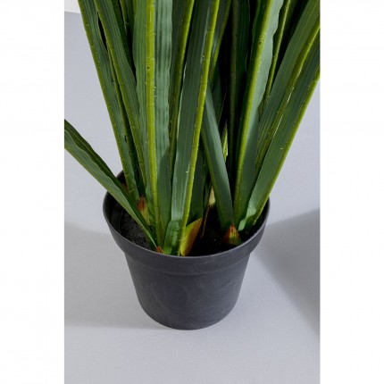 Plante décorative Rhynchostylis 150cm Kare Design