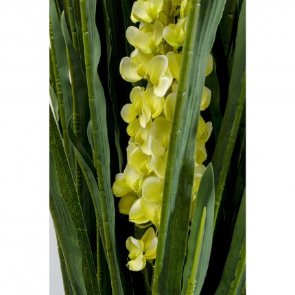 Deco Plant Rhynchostylis 150cm Kare Design