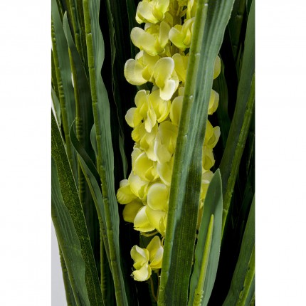 Plante décorative Rhynchostylis 150cm Kare Design