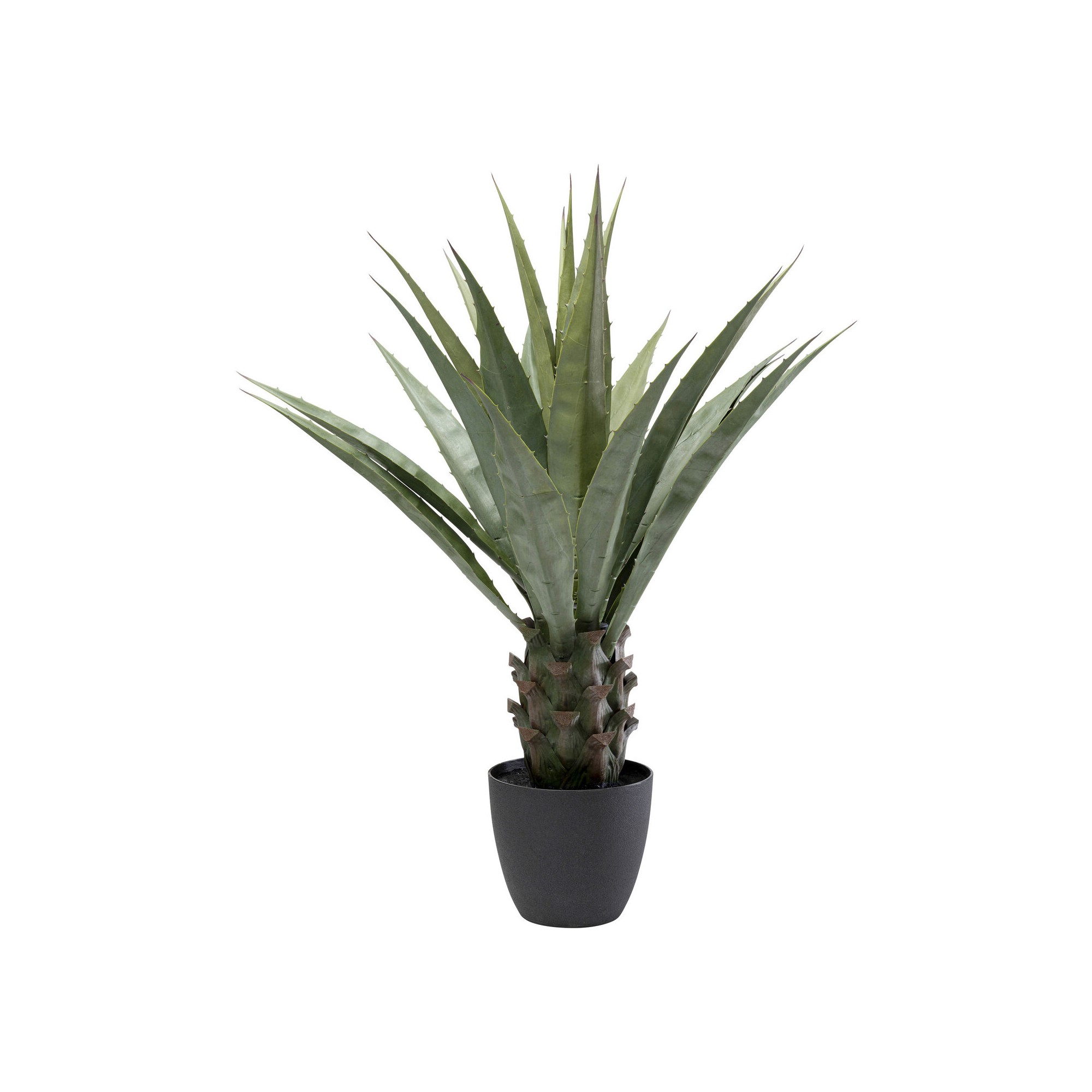 Plante décorative Agave 85cm