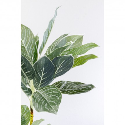 Plante décorative Calathea 140cm Kare Design