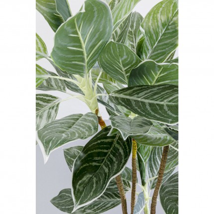 Plante décorative Calathea 140cm Kare Design