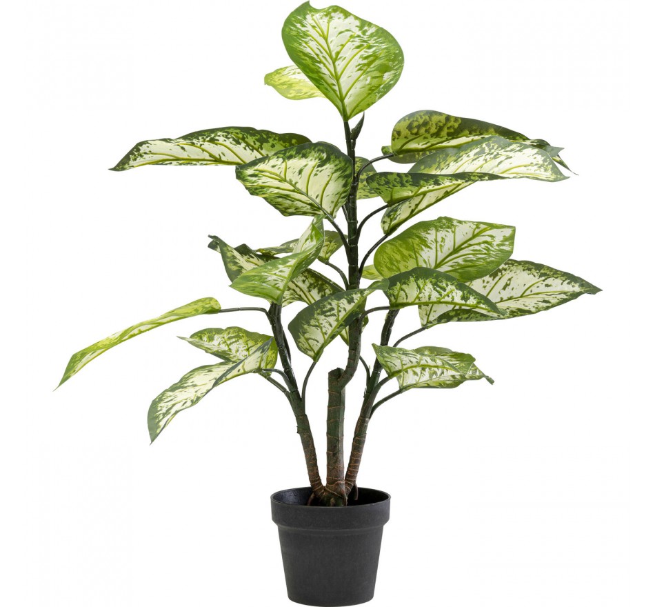 Plante décorative Dieffenbachie 100cm