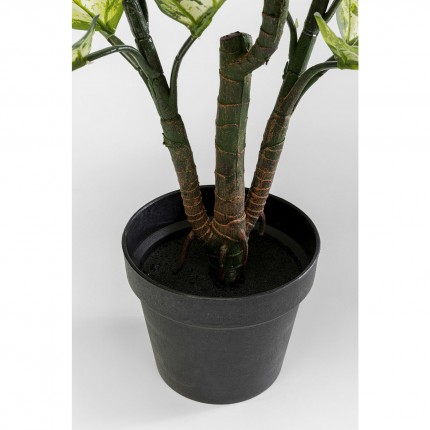 Plante décorative Dieffenbachie 100cm