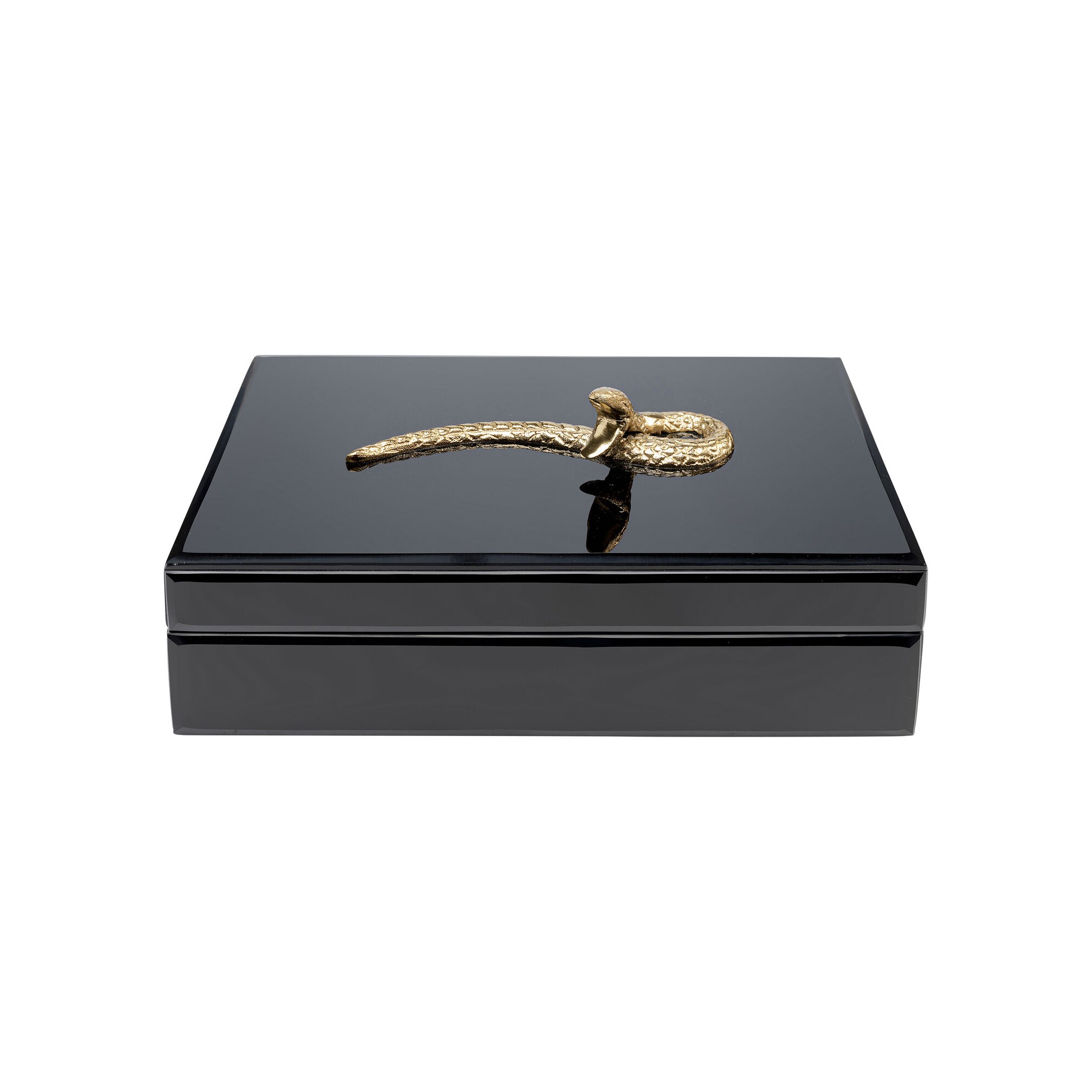 Boîte noire serpent doré Kare Design