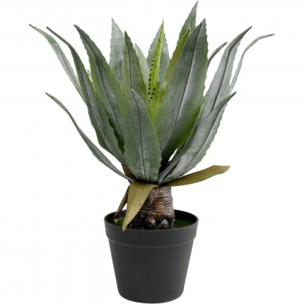 Plante décorative agave 40cm Kare Design