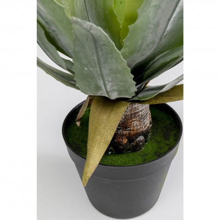 Plante décorative agave 40cm Kare Design