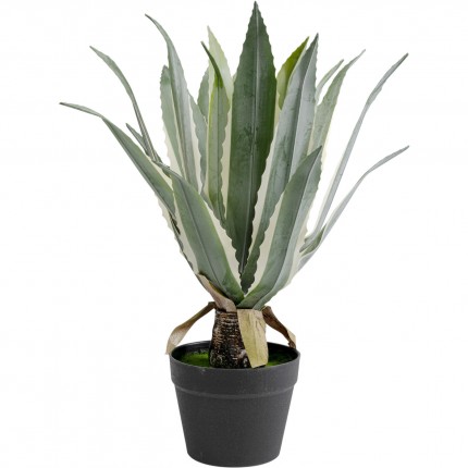 Plante décorative agave 50cm Kare Design