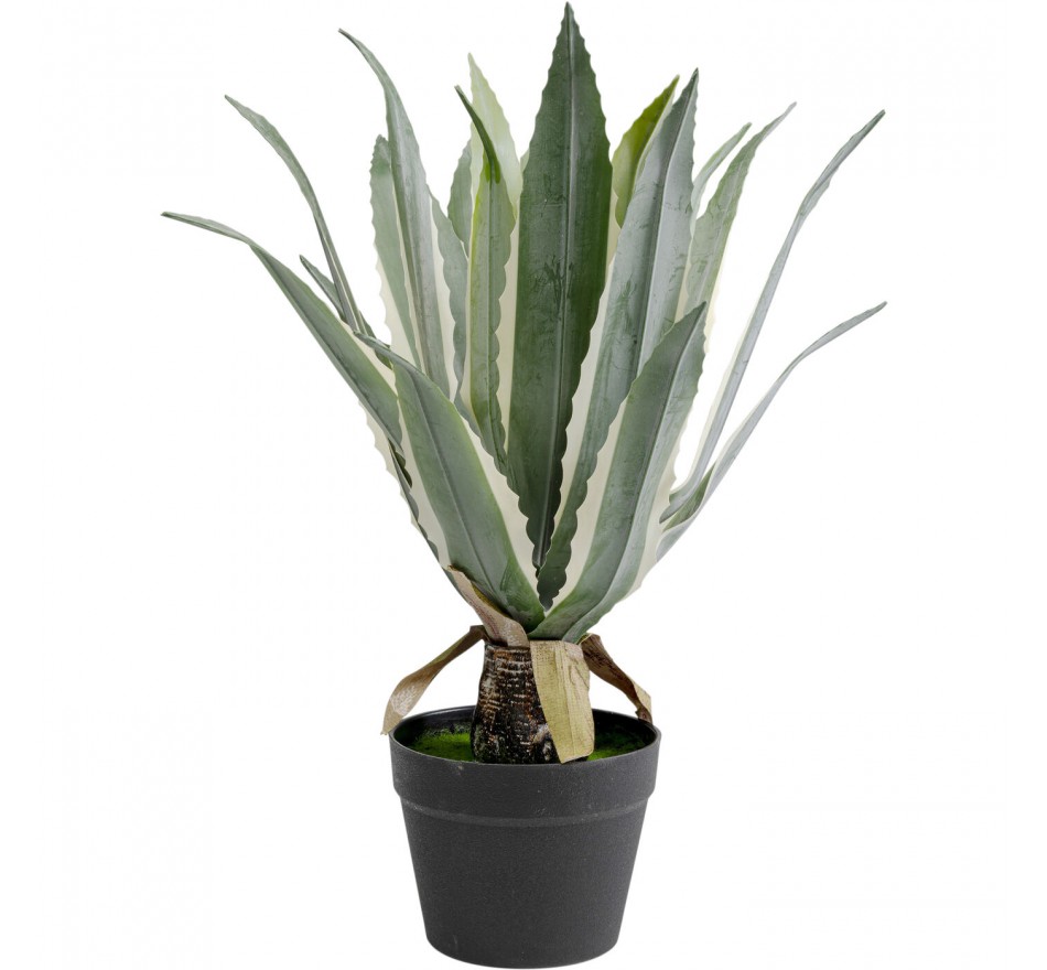 Deco plant agave 50cm Kare Design Deco plant agave 50cm Kare Design