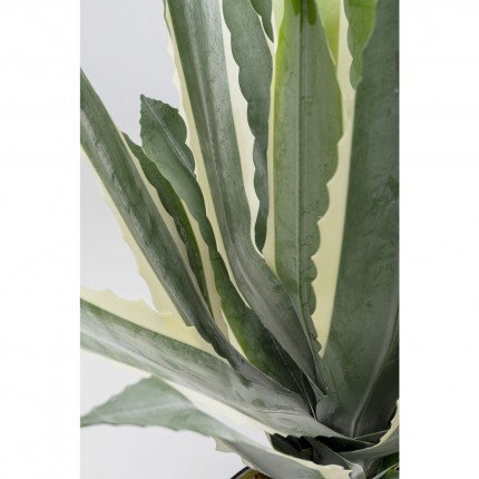 Plante décorative agave 50cm Kare Design