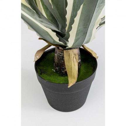 Plante décorative agave 50cm Kare Design