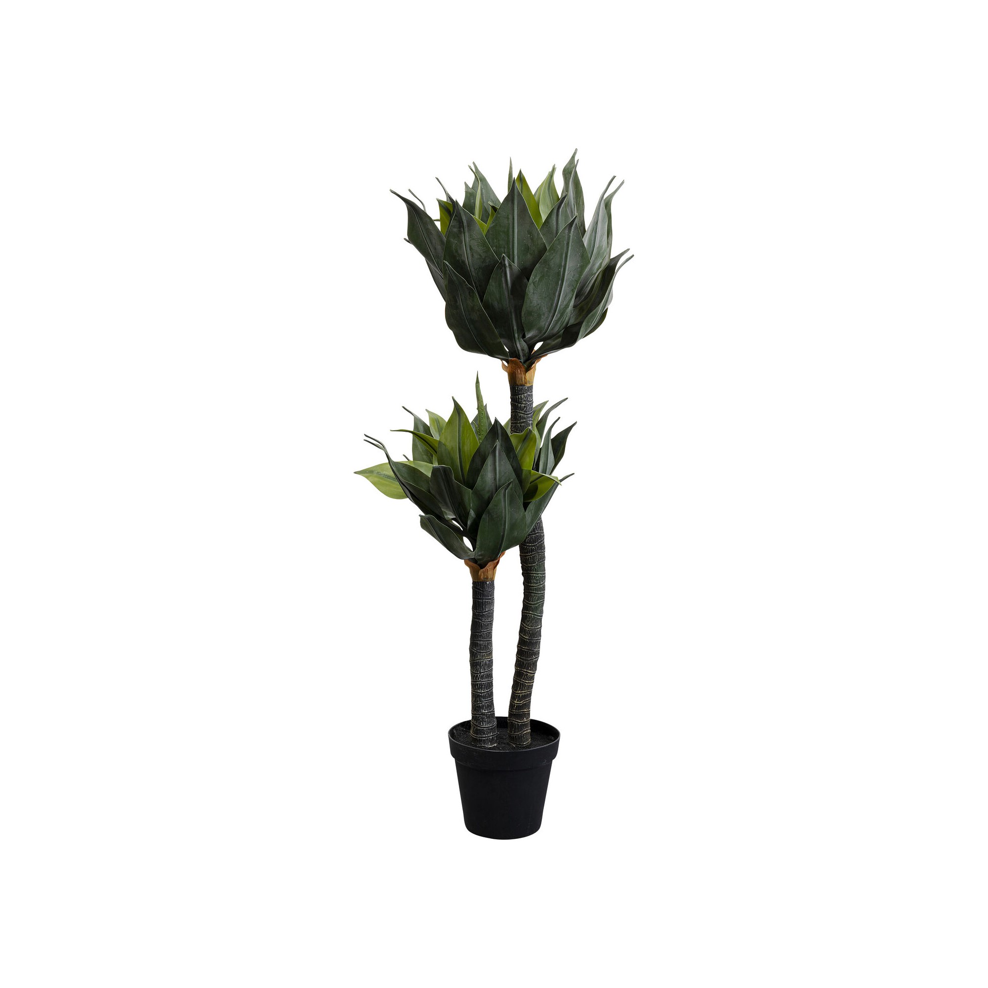 Plante décorative Agave 120cm