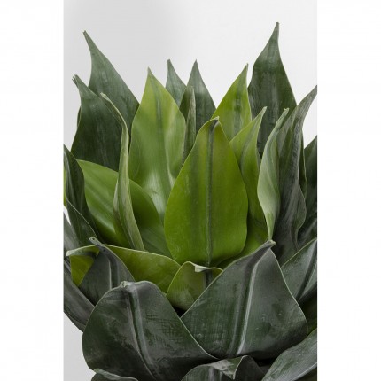 Plante décorative agave 120cm Kare Design
