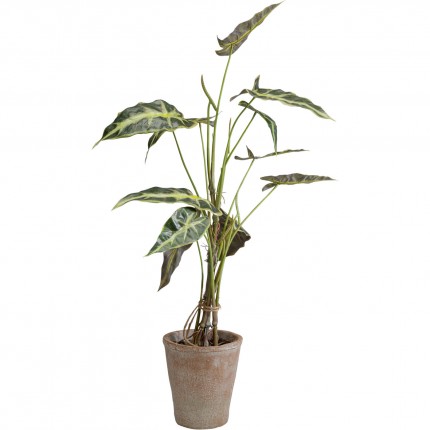 Plante décorative Alocasia 80cm Kare Design