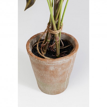 Plante décorative Alocasia 80cm Kare Design