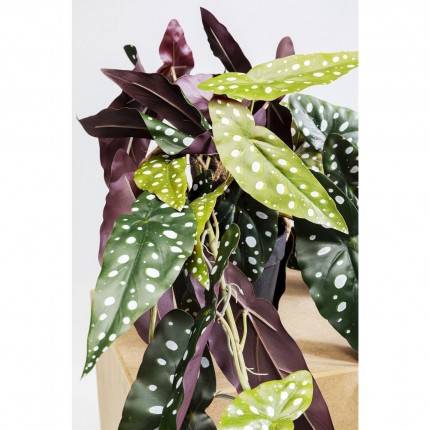 Plante décorative bégonia 105cm Kare Design