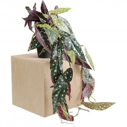 Plante décorative bégonia 105cm Kare Design