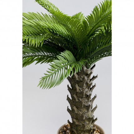 Plante décorative Cycas 70cm Kare Design