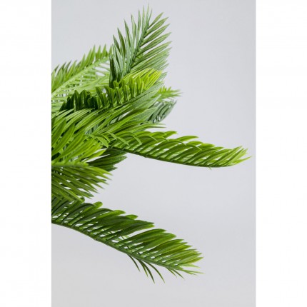 Plante décorative Cycas 70cm Kare Design