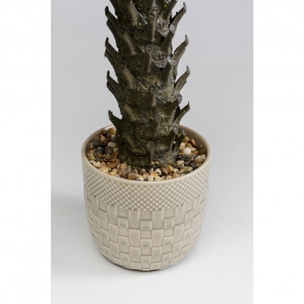 Plante décorative Cycas 70cm Kare Design