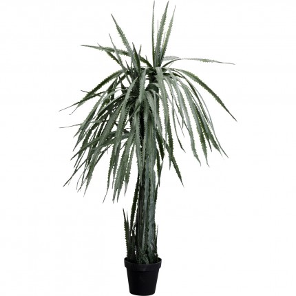 Plante décorative Dracaena 155cm Kare Design