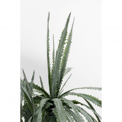 Plante décorative Dracaena 155cm Kare Design