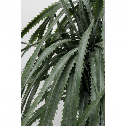 Plante décorative Dracaena 155cm Kare Design