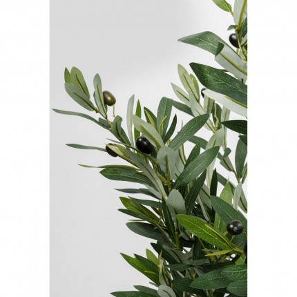 Plante décorative olivier 150cm Kare Design