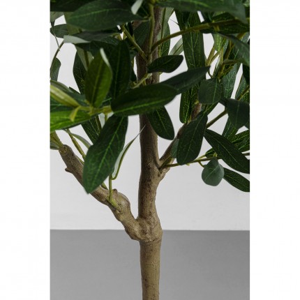 Plante décorative olivier 150cm Kare Design