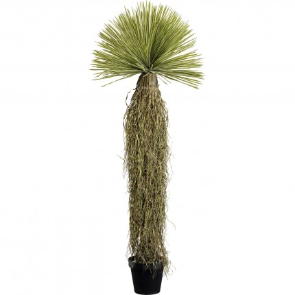 Plante décorative Yucca 180cm Kare Design