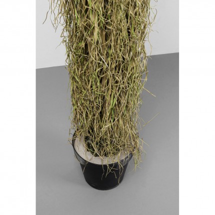 Plante décorative Yucca 180cm Kare Design