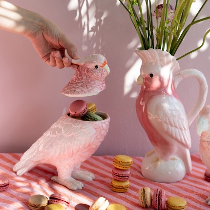 Boîte cacatoès Kare Design