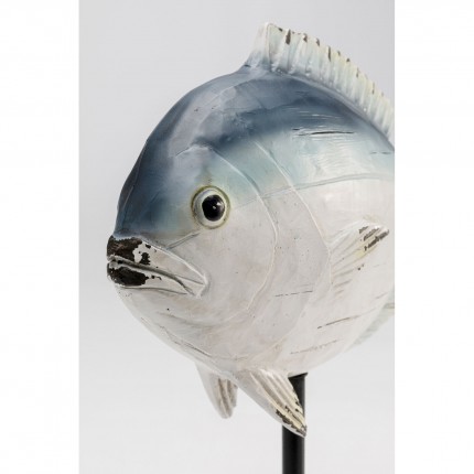 Deco exotic fish 25cm Kare Design