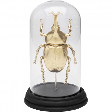 Déco Rhinoceros Beetle doré Kare Design
