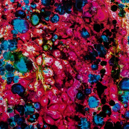Canvas Picture wild berries 125x205cm Kare Design