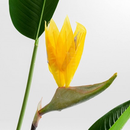 Deco Plant Strelitzia Reginae 190cm Kare Design Deco Plant Strelitzia Reginae 190cm Kare Design