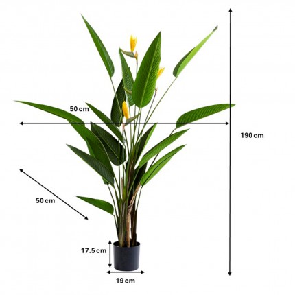 Deco Plant Strelitzia Reginae 190cm Kare Design Deco Plant Strelitzia Reginae 190cm Kare Design
