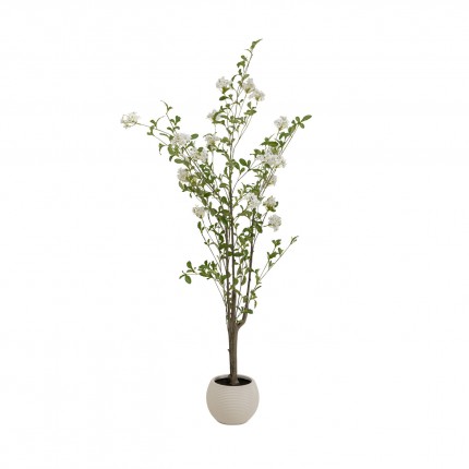 Deco plant Plumbago 152cm Kare Design