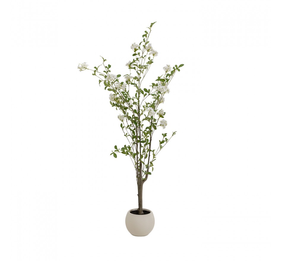 Deco plant Plumbago 152cm Kare Design Deco plant Plumbago 152cm Kare Design